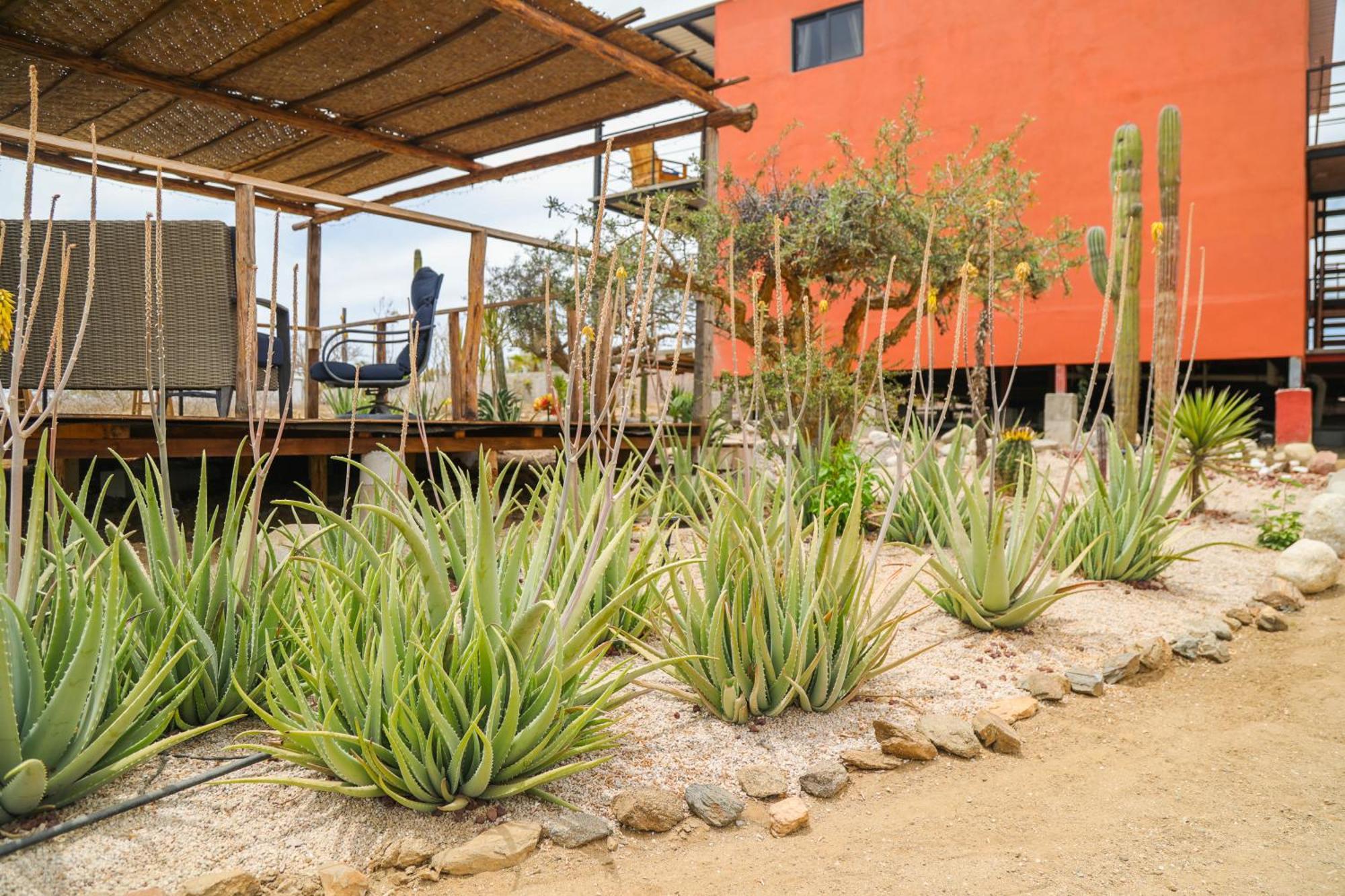 Experience Aparthotel El Cardonal Bagian luar foto
